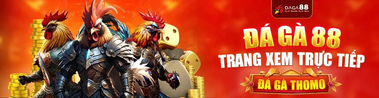 Trải nghiệm người dùng tối ưu